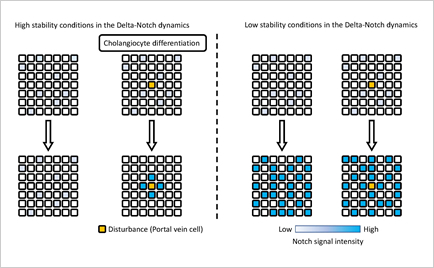 Mr. Masaharu Yoshihara, 3rd year student, published a first author paper in BMC Research Notes.