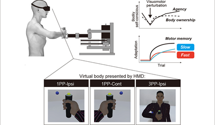 Mr. Ryota Ishikawa, 2nd year student, published a first author paper in iScience.