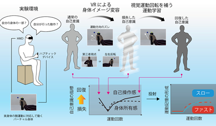 Mr. Ryota Ishikawa, 2nd year student, performed an oral presentation at Japanese Society for Multisensory Perception.