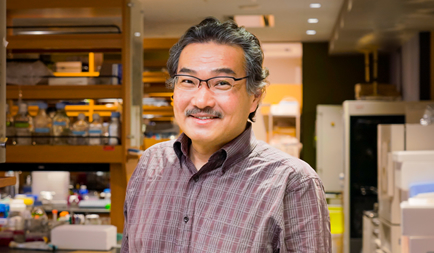 Program Leader, Dr. Masashi Yanagisawa Receives Tokizane Award