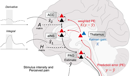 Mr. Ryota Ishikawa, 3rd year student, published a first author paper (preprint) on bioRxiv.