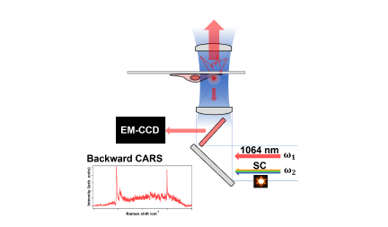 Mr. Yuusuke Murakami, 3rd year student, published a first author paper in Optics Continuum, a journal of Optica (formerly The Optical Society).