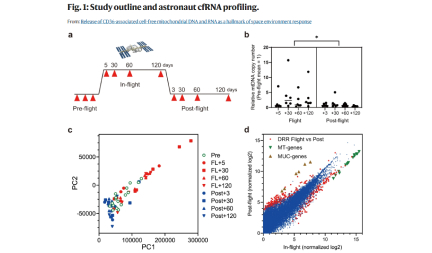Ms. Nailil Husna, 3rd year student, published a first author paper in Nature Communications.