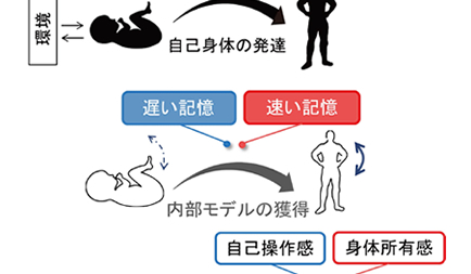 石川椋太さん(ヒューマニクス3年生)が第16回Motor Control 研究会で口頭発表・ポスター発表を行いました。