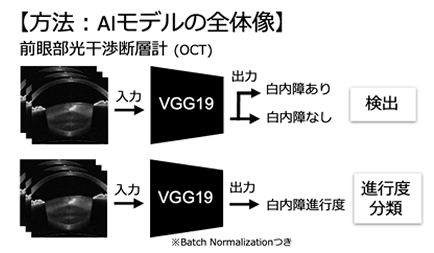 滝波俊平さん(ヒューマニクス2年生)が、第3回日本眼科AI学会総会で筆頭演者として口頭発表を行いました。